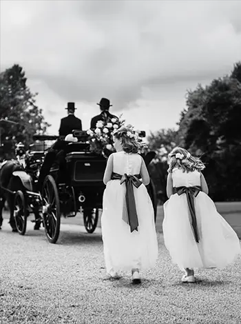 Wedding Video Clip - Bridesmaids and Carriage